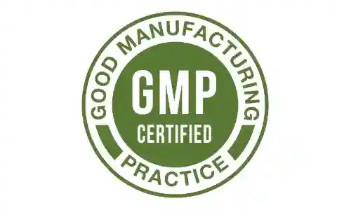 MemoryFuel GMP Certified